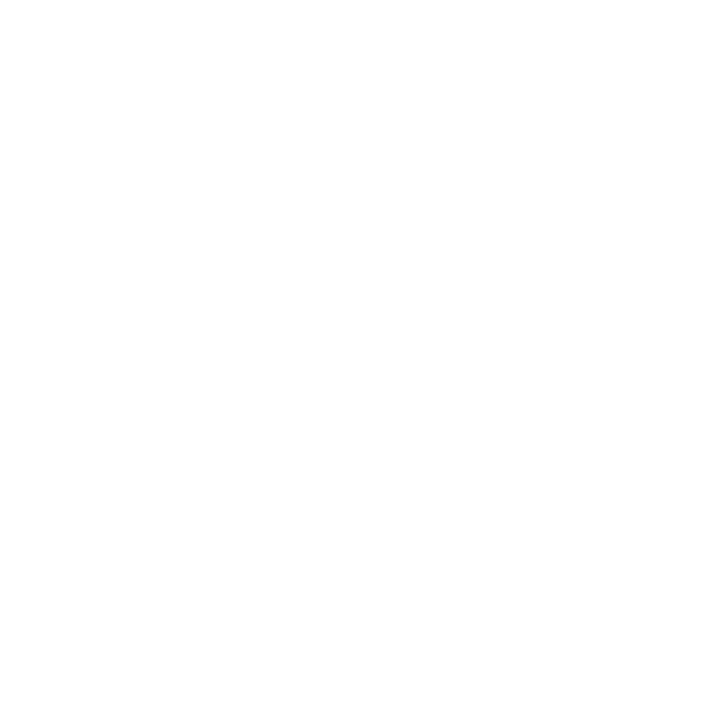 fsli logo